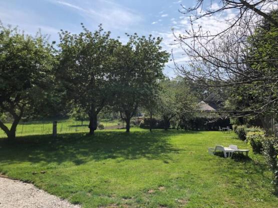 Emplacement nu pour TENTE avec électricité