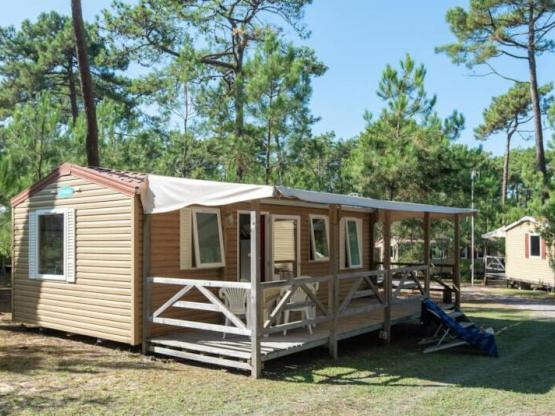 Cottage Camélia STANDARD / D