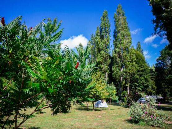 Staanplaatsen voor tenten, caravans en campers met beperkte mobiliteit met  elektriciteit
