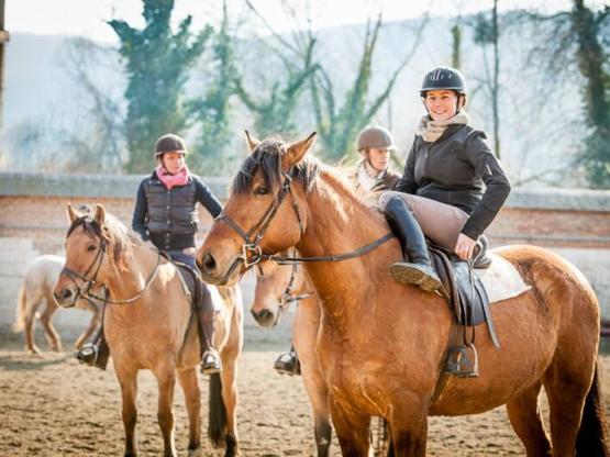 Séjour Equestre et nuit en Roulotte - Tous niveaux de 6 à 99 ans !