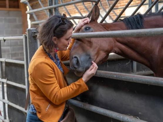 Séjour équestre et nuit en maison sur l'eau - Tous niveaux de 6 à 99 ans !