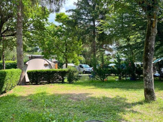 Emplacement Confort XL Tente/Van/Caravane/Camping-Car (avec électricité)