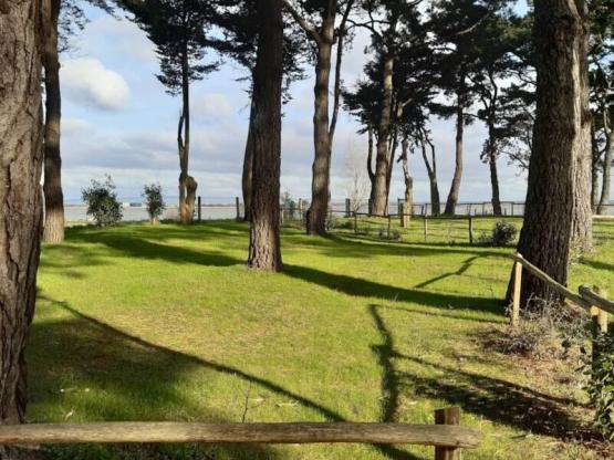 Standplaats + tent, caravan