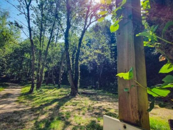 Forfait emplacement 1 tente (7x3m max.) (prix basé sur 2 pers.) Avec électricité. Pas de véhicule