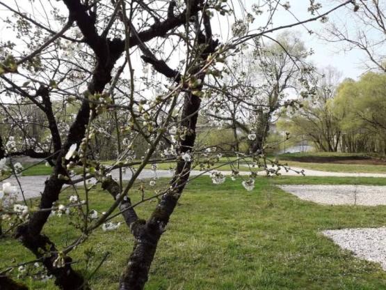 Emplacement caravane double essieu 1 pers