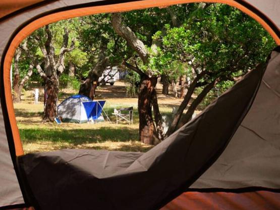 Emplacement Tente igloo -