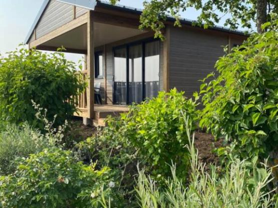 Chalet Confort Premium - D