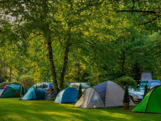 Forfait emplacement 1 ou 2 personnes + véhicule + électricté