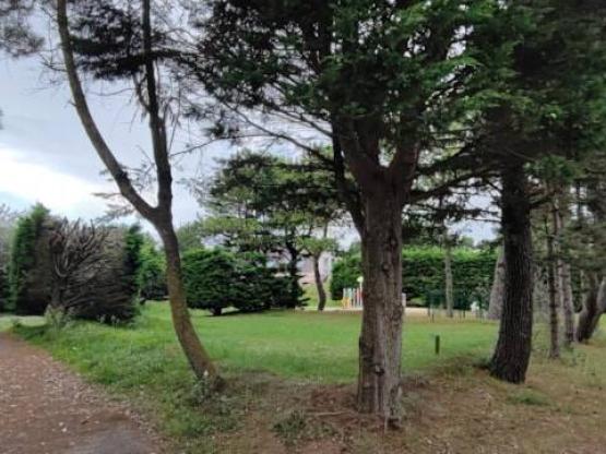 Forfait emplacement 1 campeur (tente, voiture, camping car, caravane)