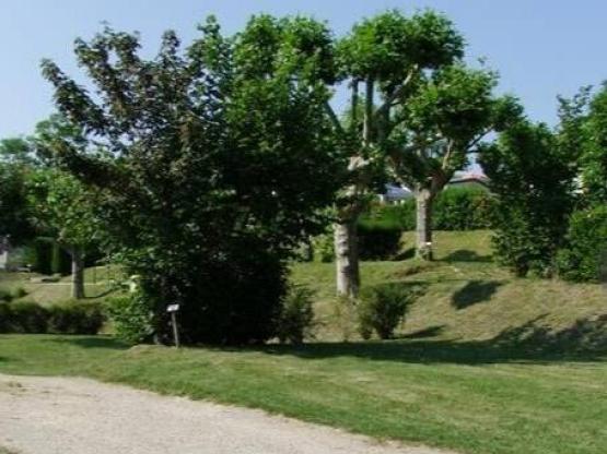 Emplacement en camping 1 personne