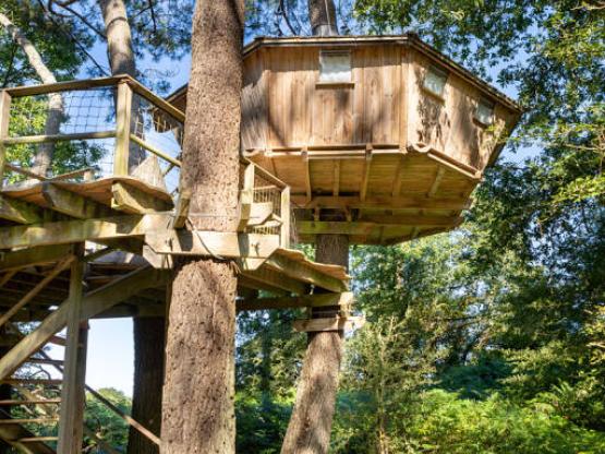 Tree house Baman