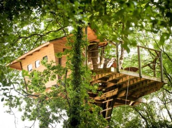 Tree house Neh er Lenn
