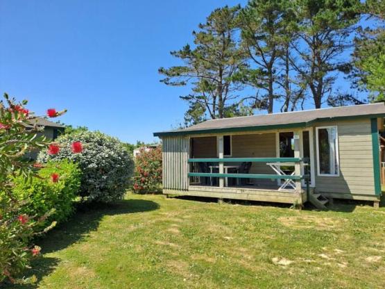 Chalet L 'ABEILLE - 29m² - 2 chambres