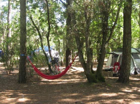 L'Ermitage Camping Nature
