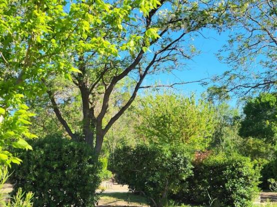 Forfait CAMPING PREMIUM (1 tente/ caravane + 1 voiture) - électricité incluse 16A - raccordement eau