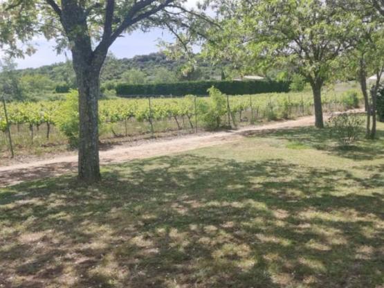 Forfait : 1 emplacement standart