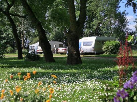 Emplacement forfait confort 1 animal - électricité incluse