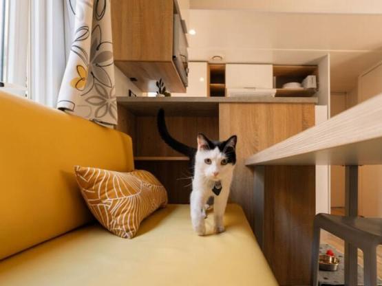Mobil-home RESASOL 8P - Animaux admis