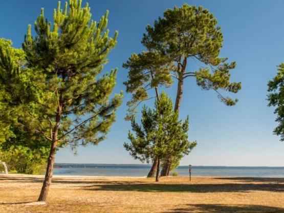 Emplacement Tente avec élec - Vue Lac 1ère ligne / D