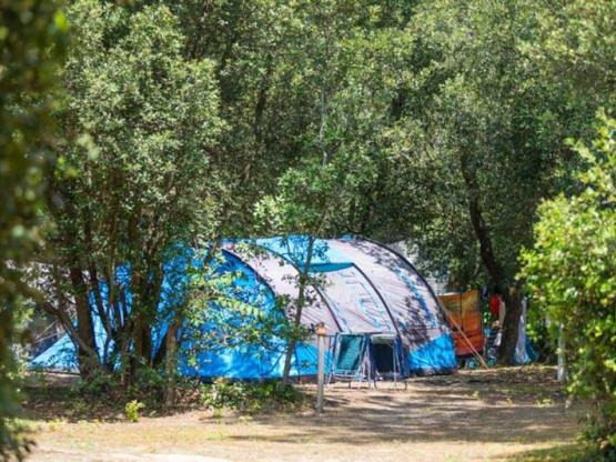 Zeltplatz mit Strom / D