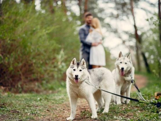 Week-end Aventure Nordique - 2 Nuits en Demi pension