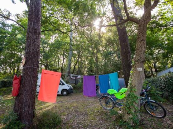 Parcela con electricidad + 1 coche + 1 tienda o caravana -