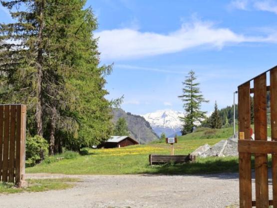 Camping package (pitch, 2 people, 1 vehicle)