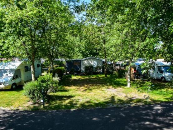 Pitch 2 trèfles - electricity