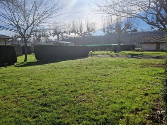 Pitch with electricity