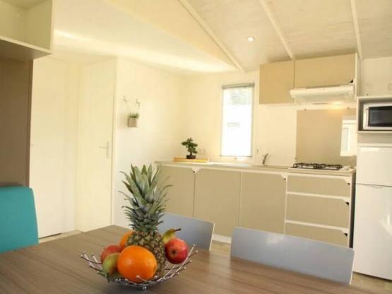 2 bedroom classic mobile home