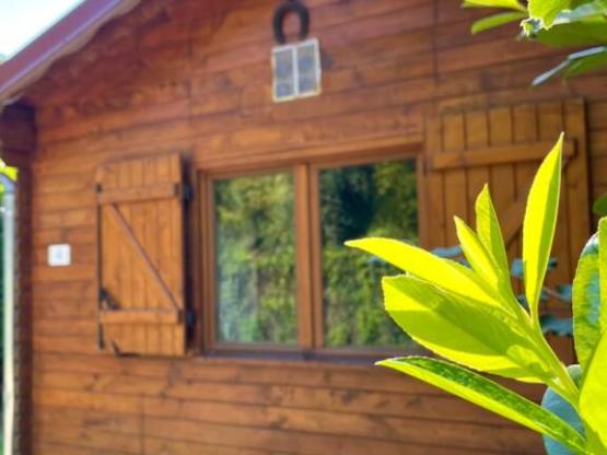 Chalet - 20m² - 1 chambre