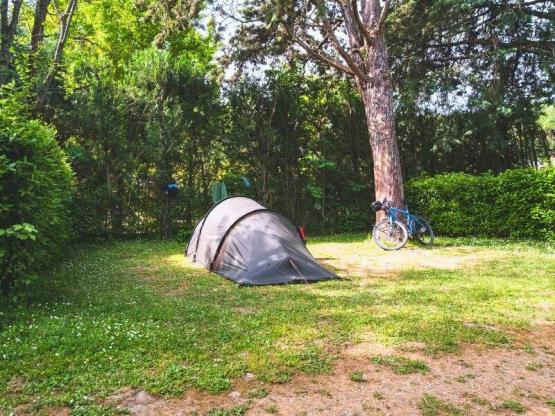 Emplacement Confort medium Tente / Van < 5m (avec electricité)