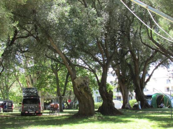 Emplacement (tente, caravane ou camping-car) - Bornes électriques CEE