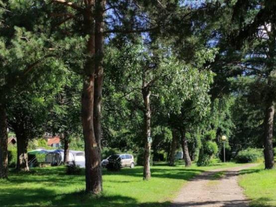 Forfait camping (emplacement, 2 personnes, 1 véhicule)