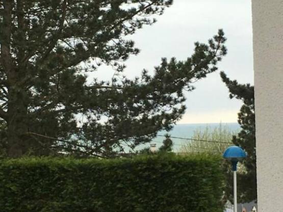 Comfortable holiday home just 800 m from the beach