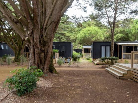 Premium Mobile Home 34m² (2 bedrooms - 4 people) + terrace + TV + sheets and towels - 7 nights