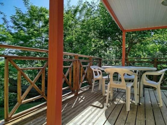 Mobile Home Hibiscus