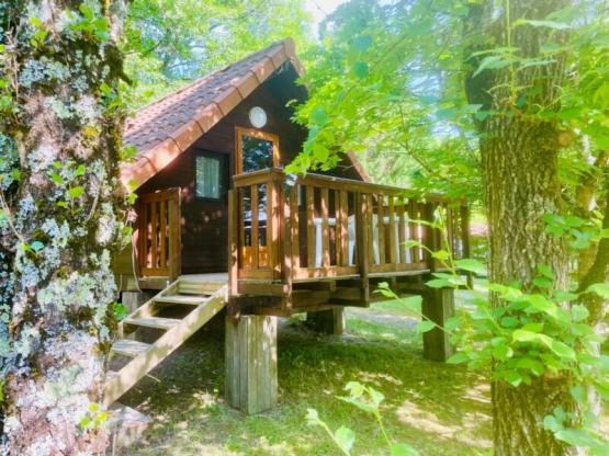 Chalet Sunflower Standard 18m² - 1 chambre  + Terrasse non couverte 9m²