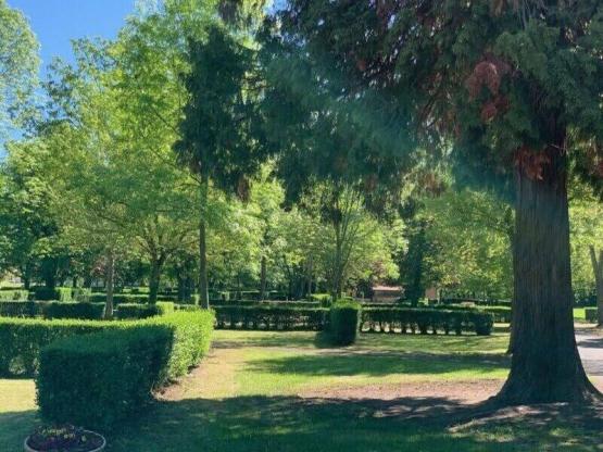Emplacement de camping