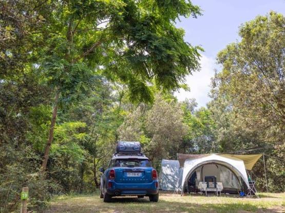 Parcela con electricidad + aseos privados / D