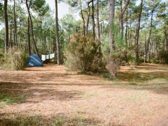GRAND SAFARI : Emplacement Grande Tente + électricité