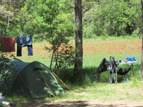Emplacement camping "avec vue" + voiture