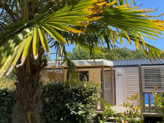 Mobil-home PREMIUM GARDEN climatisé - 3 chambres (Année 2023) - D