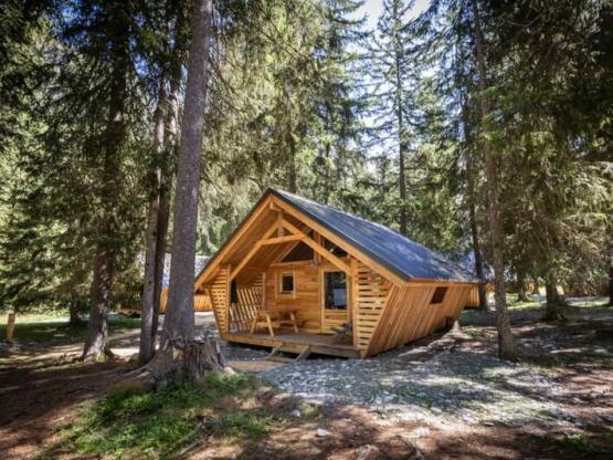 Chalet Montana Vista