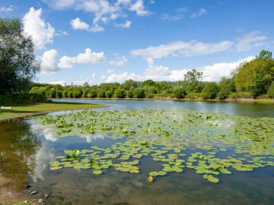 Forfait Camping (2 personnes, 1 véhicule, 1 installation)