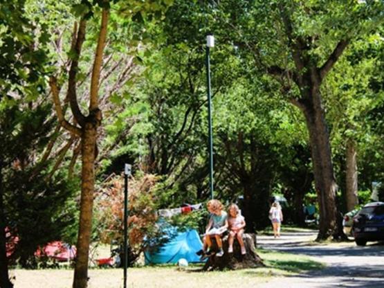 Emplacement confort 150m2  1 tente/caravane+1 voiture+electricité ou 1 camping-car + elec