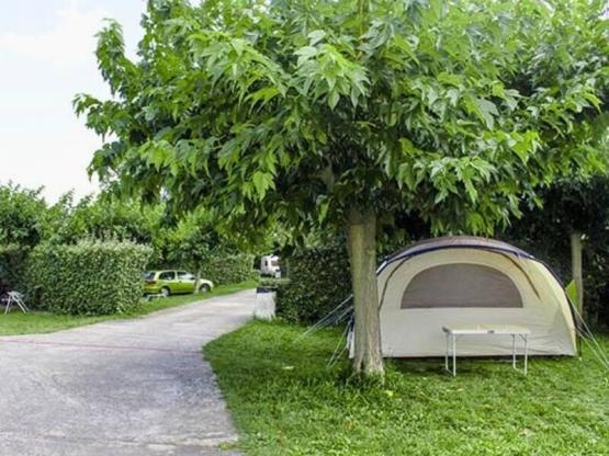 Emplacement Confort Small pour tente (avec électricité)