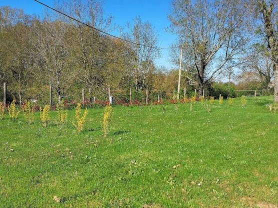 Emplacement sans véhicule