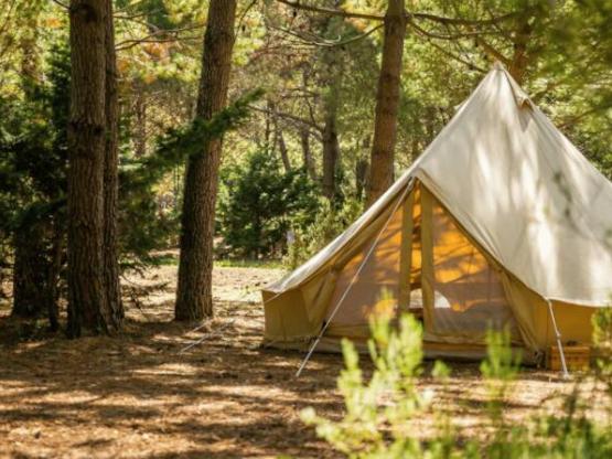 GRAND BIVOUAC : Emplacement Tente