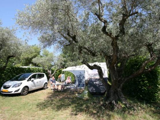 Emplacement Confort 100m²